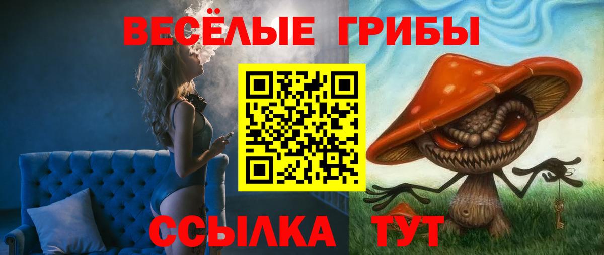 Псилоцибиновые грибы прущие грибы Ртищево